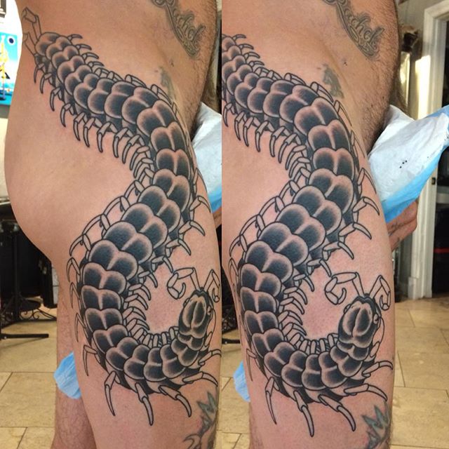 centipede Remington Tattoo Parlor
