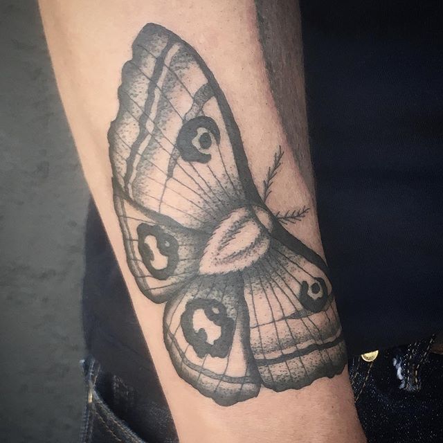 Moth tattoo by Jasmine Worth @jasmineworth To get tattooed by her please email JasmineWorthTattoos@gmail.com #darkart #darkartists #mothtattoo #insecttattoo #moth