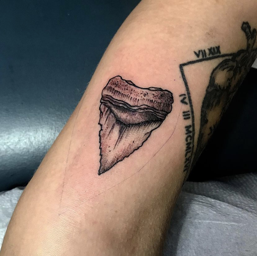 photo tattoo tooth 29122018 058  going for a tooth tattoo   tattoovaluenet  tattoovaluenet