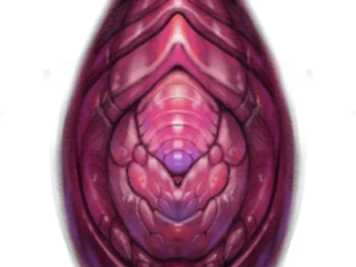 bio-organic-pink-purple-alien-pod-digital-drawing-terry-ribera-san-diego