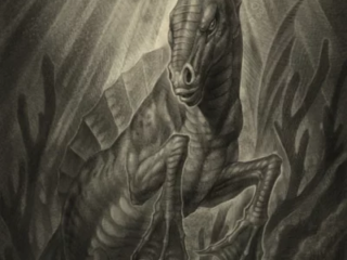 fine-art-sea-creature-seahorse-charcoal-drawing-terry-ribera-san-diego