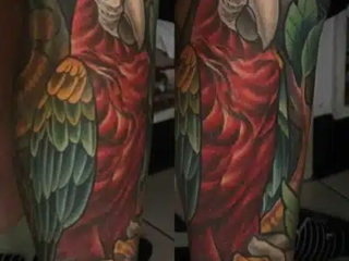 illustrative-neo-traditional-scarlet-macaw-parrot-tattoo-terry-ribera-san-diego
