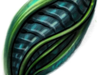 tattoo-sketch-bio-organic-seed-pod-form-green-digital-terry-ribera-san-diego