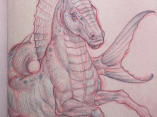 tattoo-sketch-mythical-sea-horse-dragon-red-pencil-sketchbook-terry-ribera-san-diego