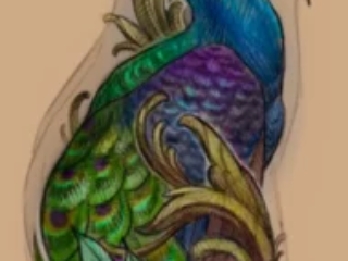 tattoo-sketch-peacock-peony-rib-colored-digital-terry-ribera-san-diego