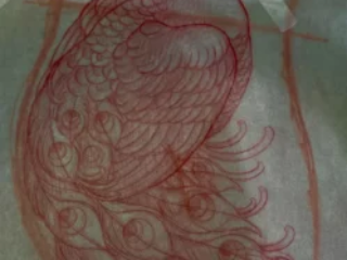 tattoo-sketch-peacock-red-pencil-terry-ribera-san-diego